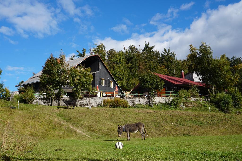 Guest house Beli Kamen Vojsko Buitenkant foto