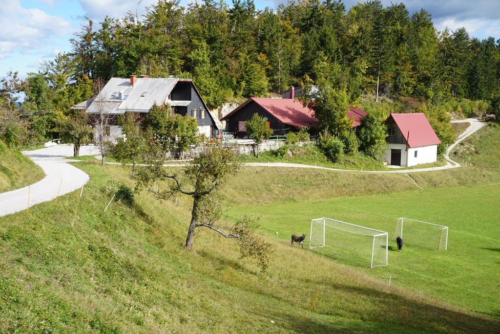 Guest house Beli Kamen Vojsko Buitenkant foto